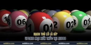 Bạch thủ lô là gì