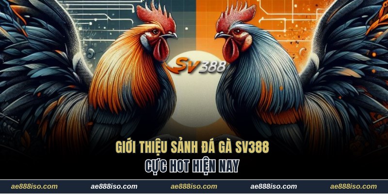 Giới thiệu sảnh đá gà SV388 cực hot hiện nay