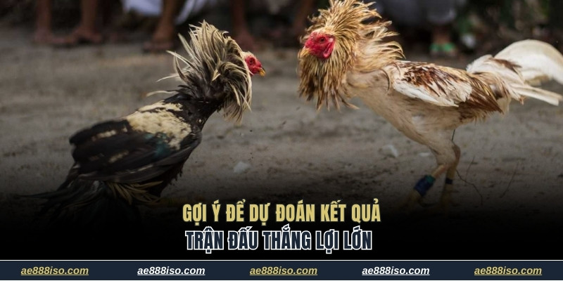 Gợi ý để dự đoán kết quả trận đấu thắng lợi lớn